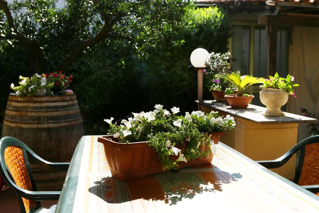 B&B La Villa Presicce Bagian luar foto